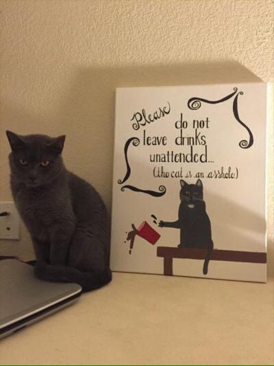 hermitgee's tweet image. Part 4, bastards! #NationalCatDay