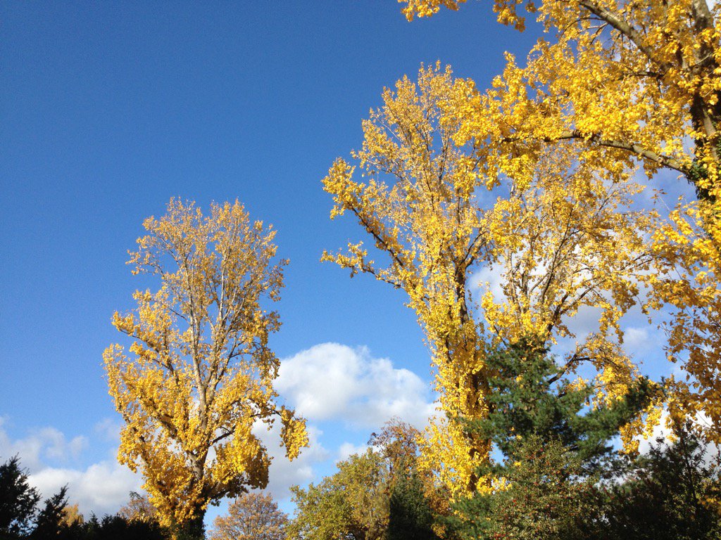 Sogar der Himmel und die Natur im #Ruhrpott stimmen sich farblich aufs Derby ein. #BVBS04