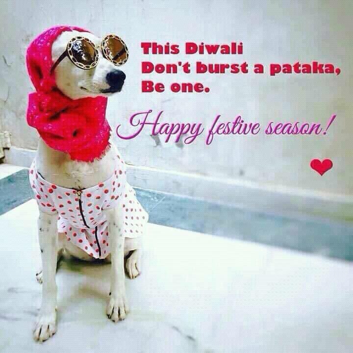 PrerrnaSeth's tweet photo. For all the women out there and the men too 🙏🏻🙏🏻🙏🏻
#HappyDeepavali #happyDiwali #festive #phataka #fataka #cutethought https://t.co/7qY5E40sYw