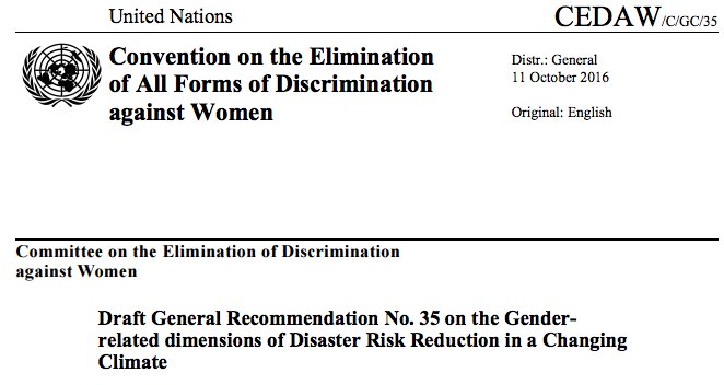 m_yonetani's tweet photo. #CEDAW call 4 input by 13Dec: General Recom'dat'n on #Gender in #DRR. 6.i on #displacement #migration #HRinClimate https://t.co/7wNvYvAePn https://t.co/Q379XOfHBC