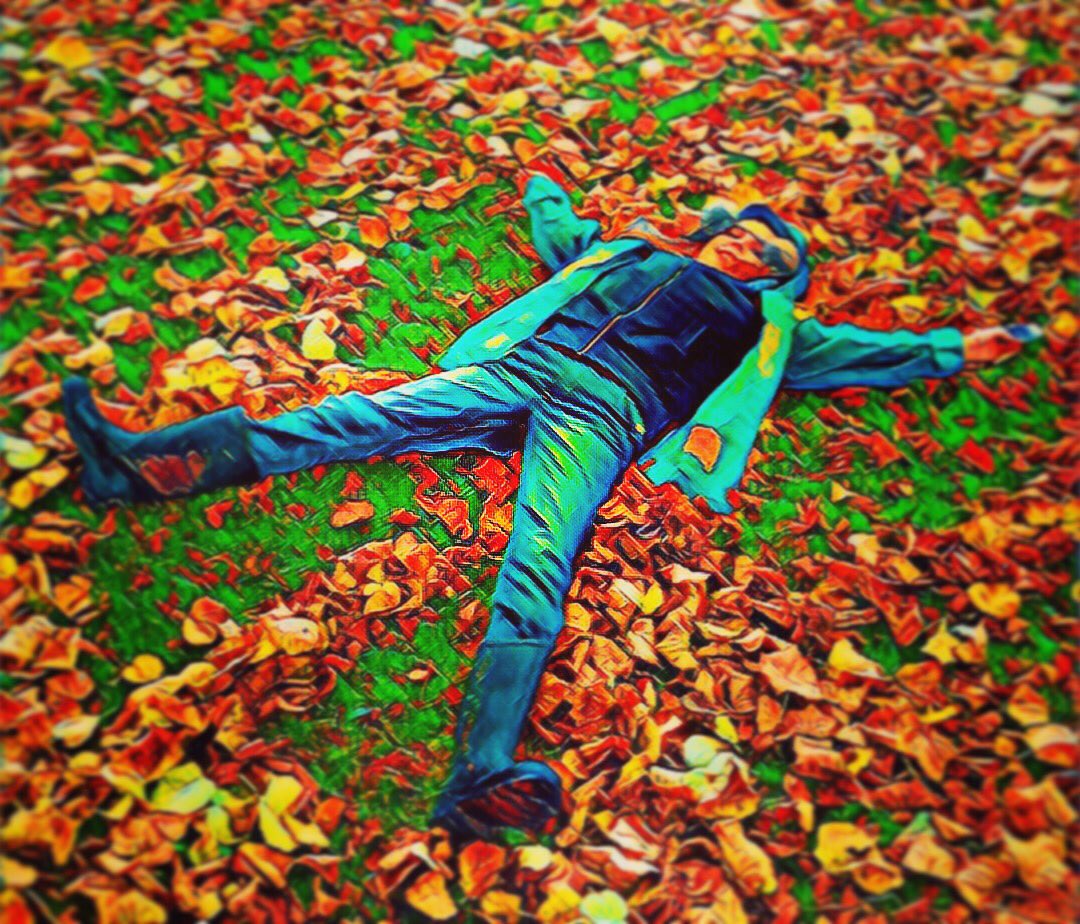 BrisVADAR's tweet photo. #LeafAngels #AutumnWalk https://t.co/lruLuHfiuI