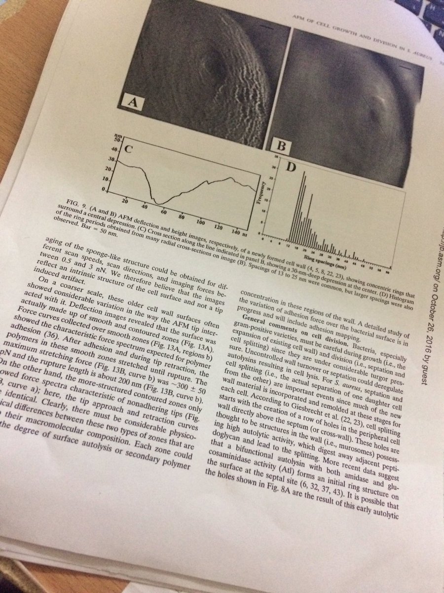 Yaywangfafamy's tweet image. แปลหมดนี่คงมีผัวเป็นฝรั่งล่ะ #Pysio