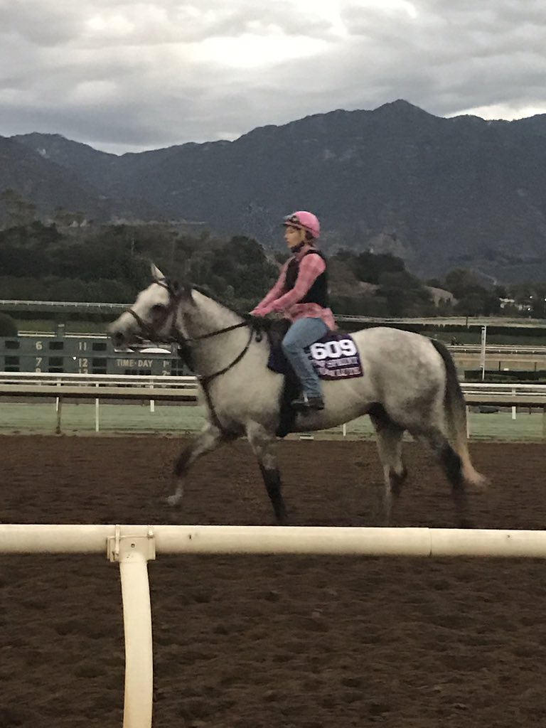 LadyAndTheTrack's tweet photo. Winner winner chicken dinner #WinTheSpace Looking great @santaanitapark for #BC16 @BreedersCup https://t.co/xy04sNRHPD