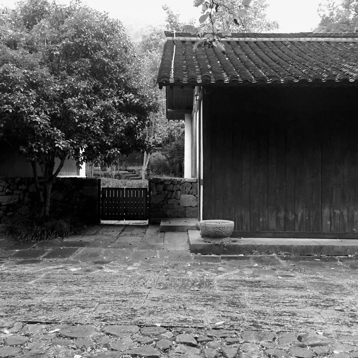 0932Design's tweet image. Slow pace stroll at Aman Fayun @Amanresorts #hangzhou #China #0932travel #interiordesign #impressivearchitecture&amp;amp;landscape