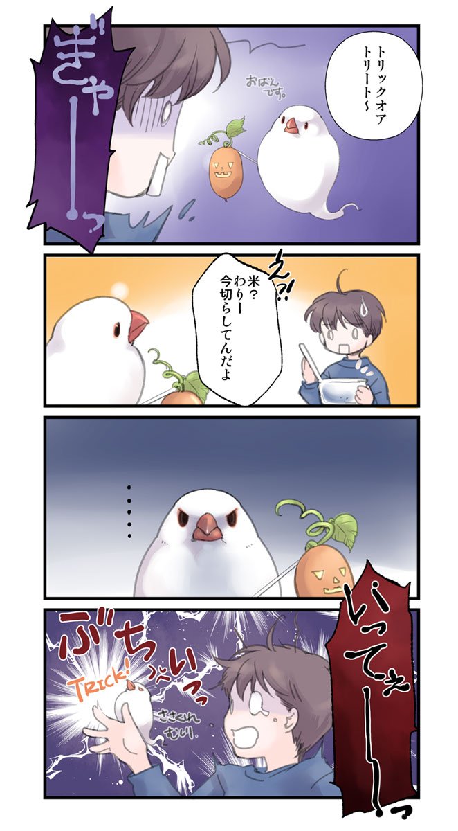 O Xrhsths 水上カオリ Sto Twitter 怒っても可愛い文鳥さんミラクル ᴗ O Xrhsths 水上カオリ Sto Twitter 怒っても可愛い文鳥さんミラクル ᴗ