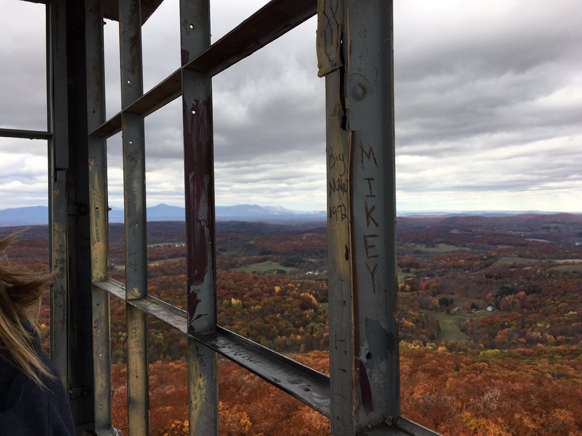 Chef Will Nolan tweet media