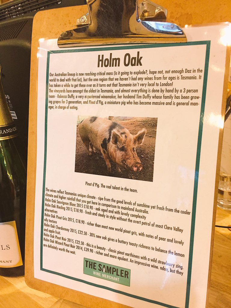 Curly Haslam-Coates GC tweet media