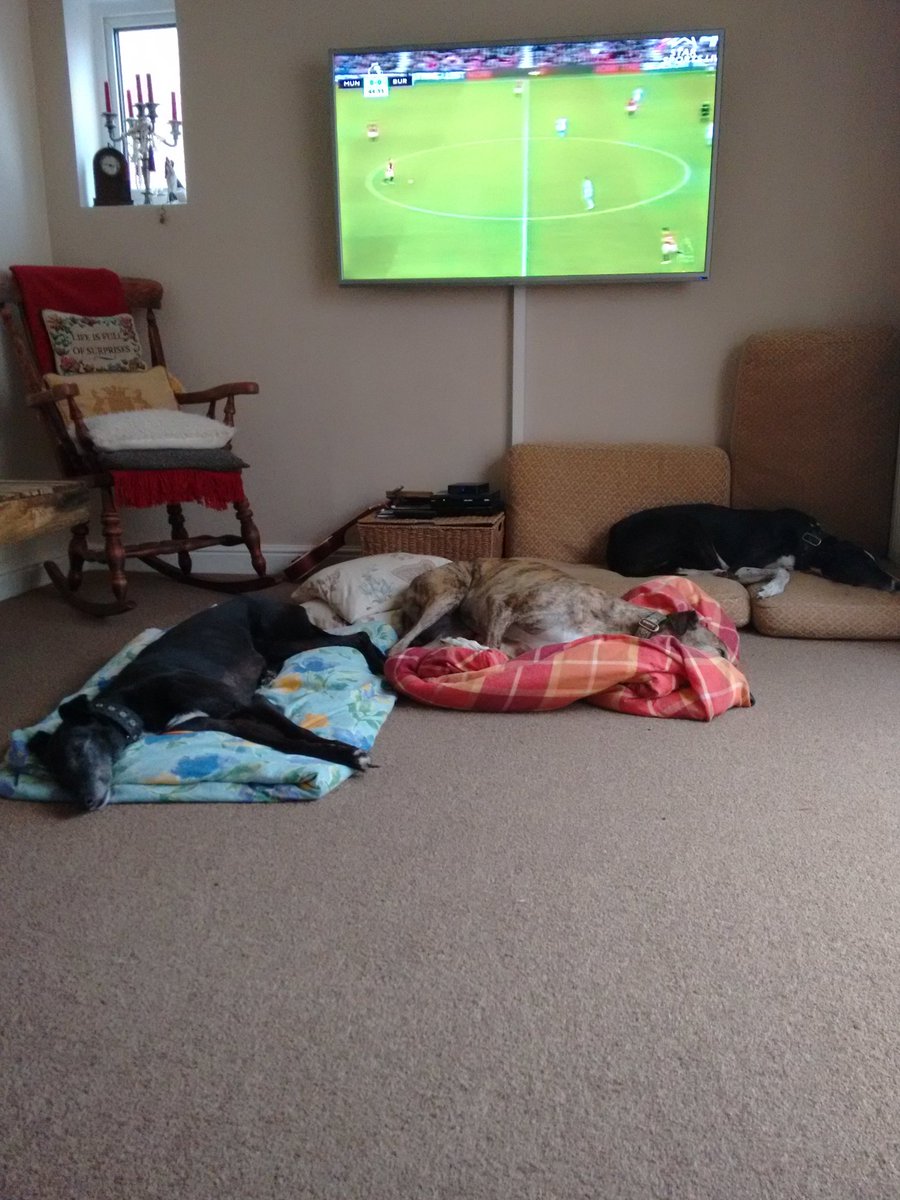 CongletonCW12's tweet photo. All busy here ... fascinated watching #Manutd  v #BurnleyFC ... yeah right https://t.co/e1V0FNOX8s