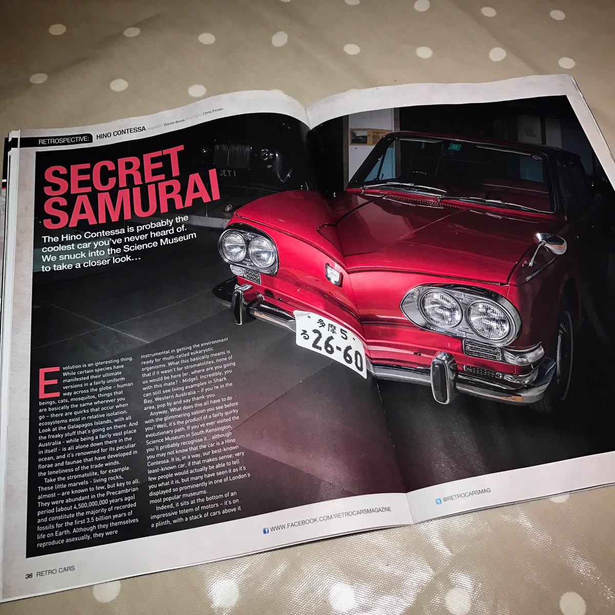 𝔻𝕒𝕟𝕚𝕖𝕝 𝔹𝕖𝕧𝕚𝕤 tweet media