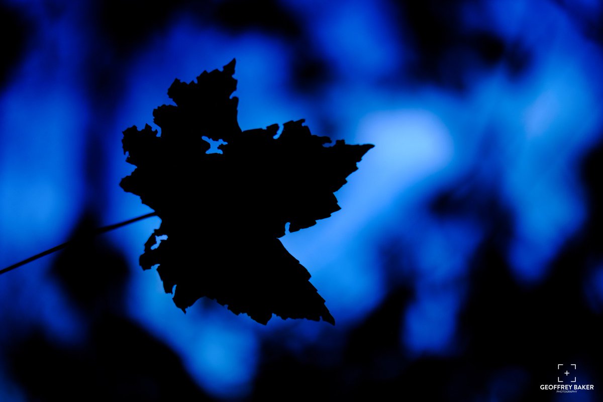 Kinda Blue ©GeoffreySBaker #FujiXPro2 #EllicottCity #Oella #Fall #Dusk @FujifilmX_US @FujifilmUS @ECpix #PatapscoRiver