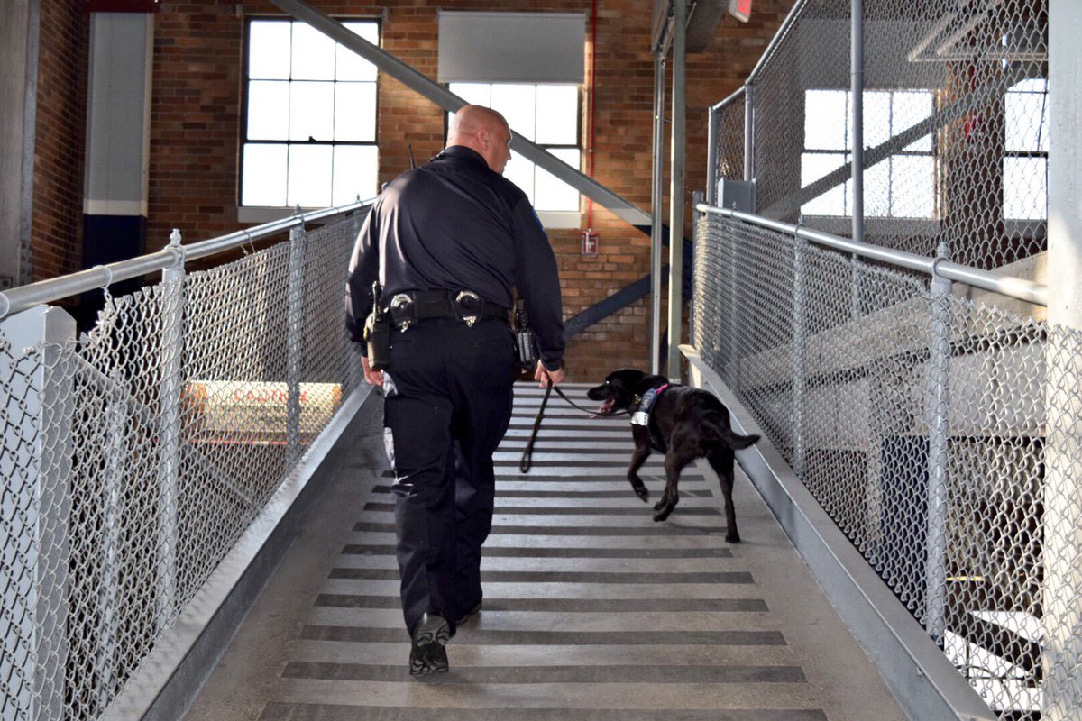 ButlerUpolice's tweet photo. EOD K9 Marcus and Officer Jason Downs have swept #Hinkle. It's almost @ButlerMBB game time. #BUsafe #SeeSomethingSaySomething https://t.co/Kg1cLvxI3J