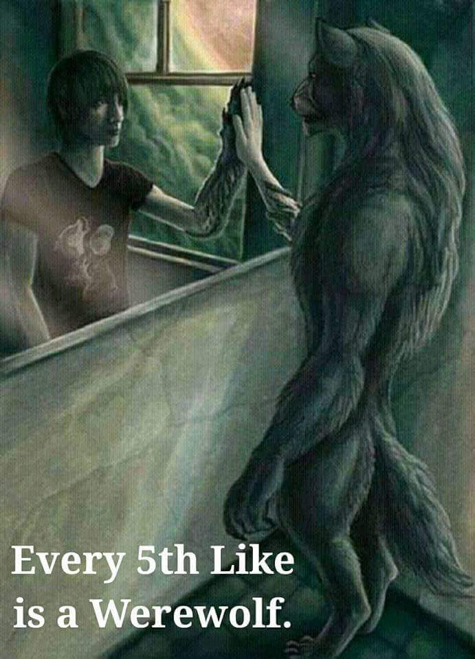 ThorGilbright's tweet photo. @MiIIionaireList when I look into the mirror I see #Wolf and Wolf seen me

#CollegeGameDay #Wolf
#Coffee @DeathWishCoffee @TheJuggalosRUs 🚬🐺 https://t.co/OfOVcsvESU