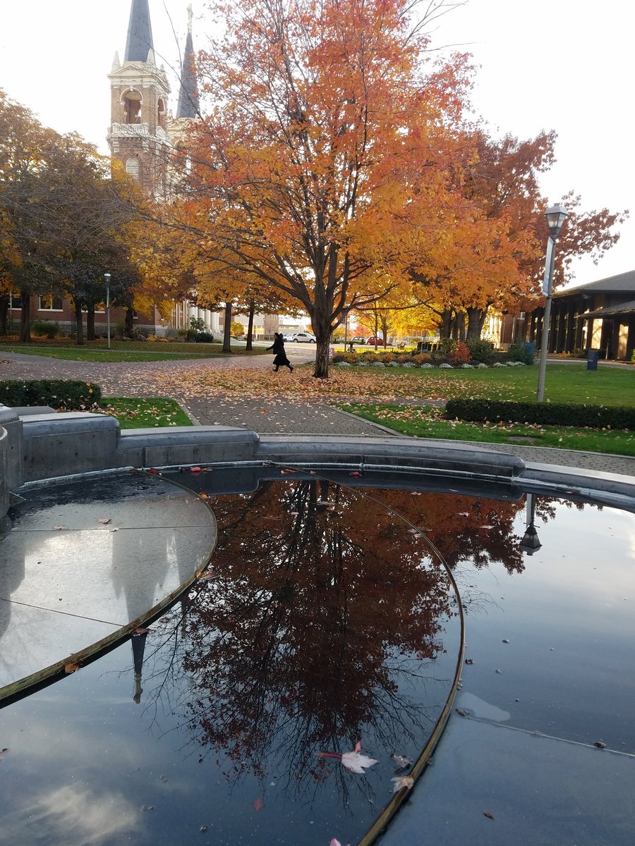 GonzagaU's tweet photo. Enjoying the last of fall. #FallColors #spokane https://t.co/omSl8vYlb5