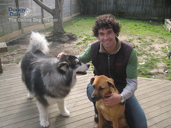 DogMyBestFriend's tweet photo. Discover the best way to train your dog effectively. 5 free videos.https://t.co/TO538m9cj4 https://t.co/Ejb5K60Gkx