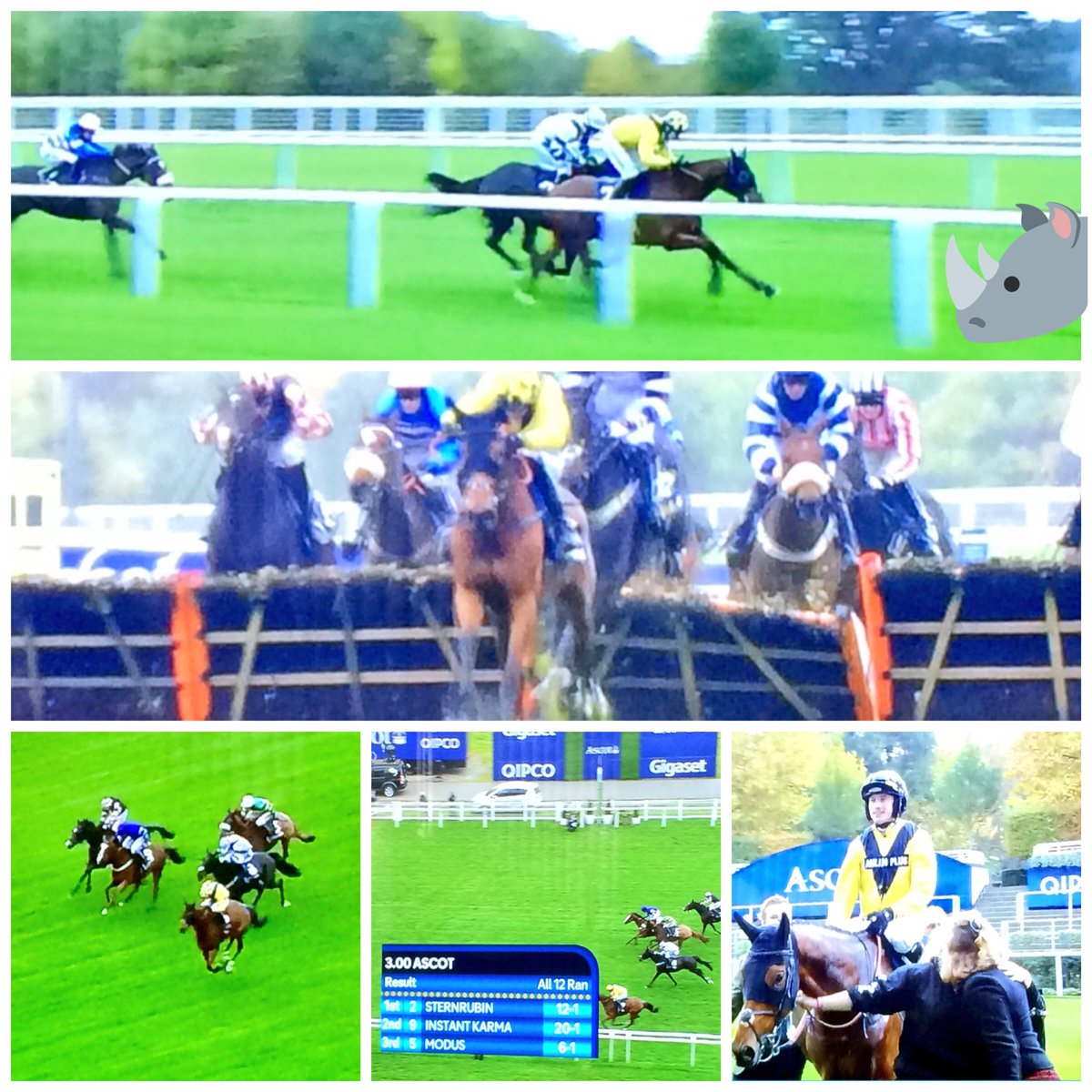 SamAtSicilyBean's tweet image. #GoRuby #Sternrubin #friskyrhino 🙊🙈#GeorgeHaineBloodstock #pinhookingwinners