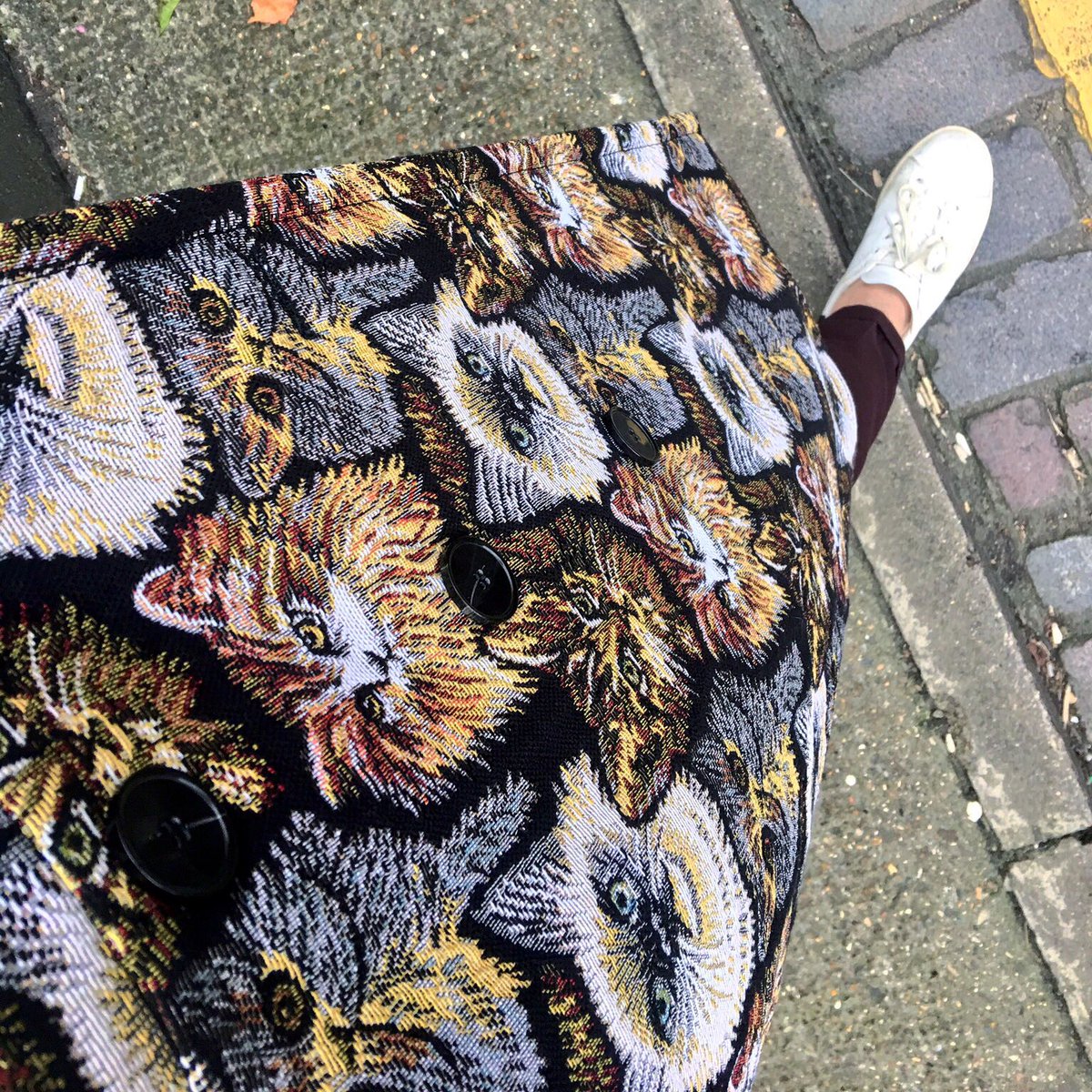 josayhef's tweet photo. #CatCoat #CatCoat #CatCoat..... https://t.co/jIVDdzgSSw