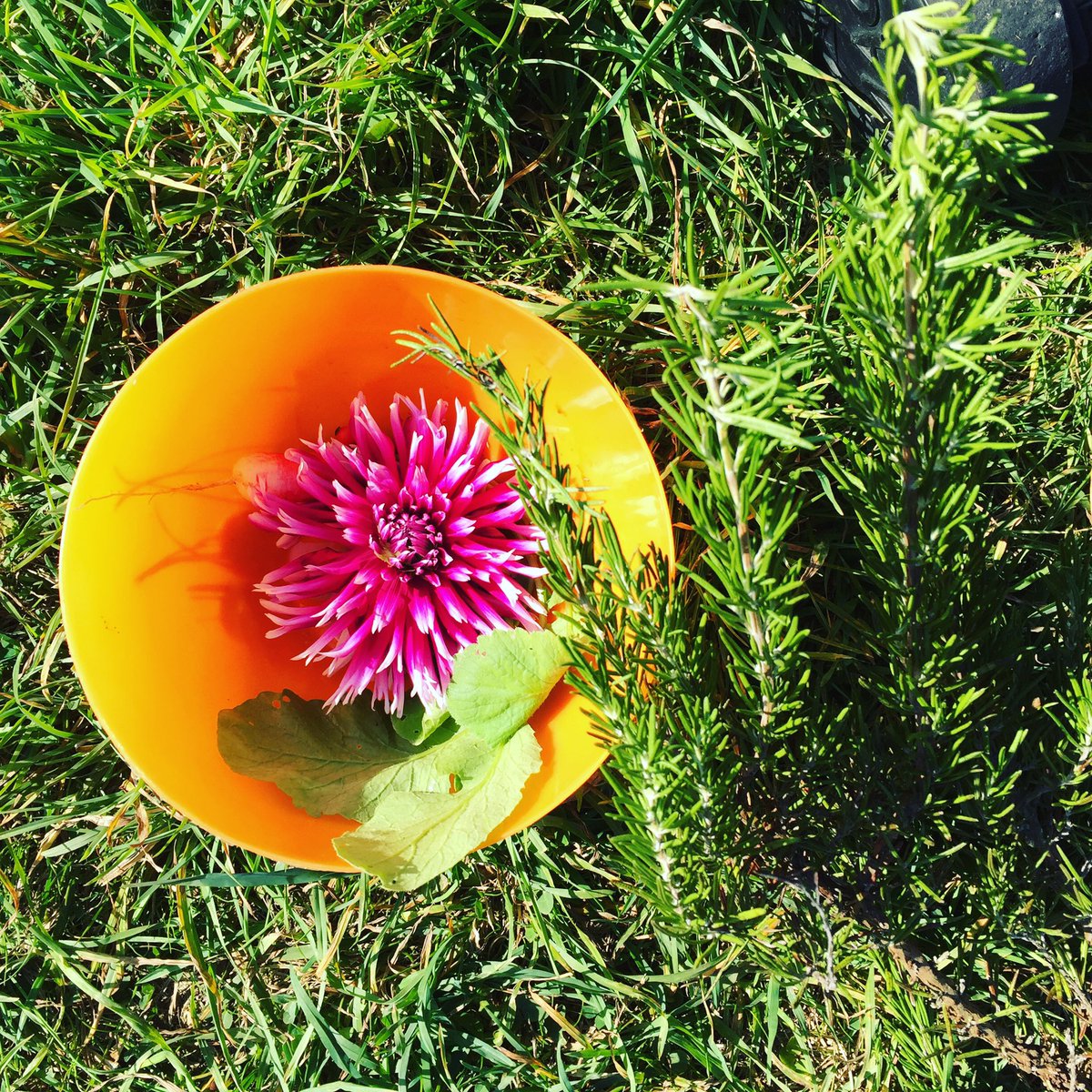 Foraging allotment fayre