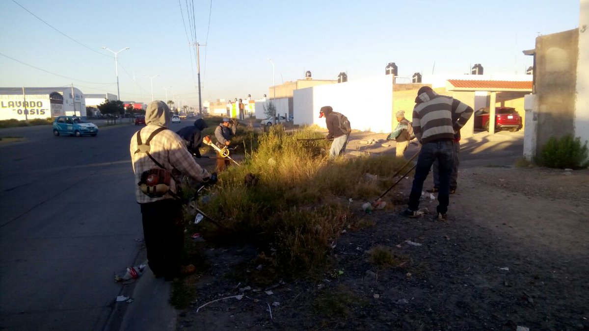 spublicos_dgo's tweet photo. @jedimunive Buen día, se lleva a cabo el desmalezado en la zona solicitada. #AtenciónDeReporte https://t.co/drVDJnpNaO