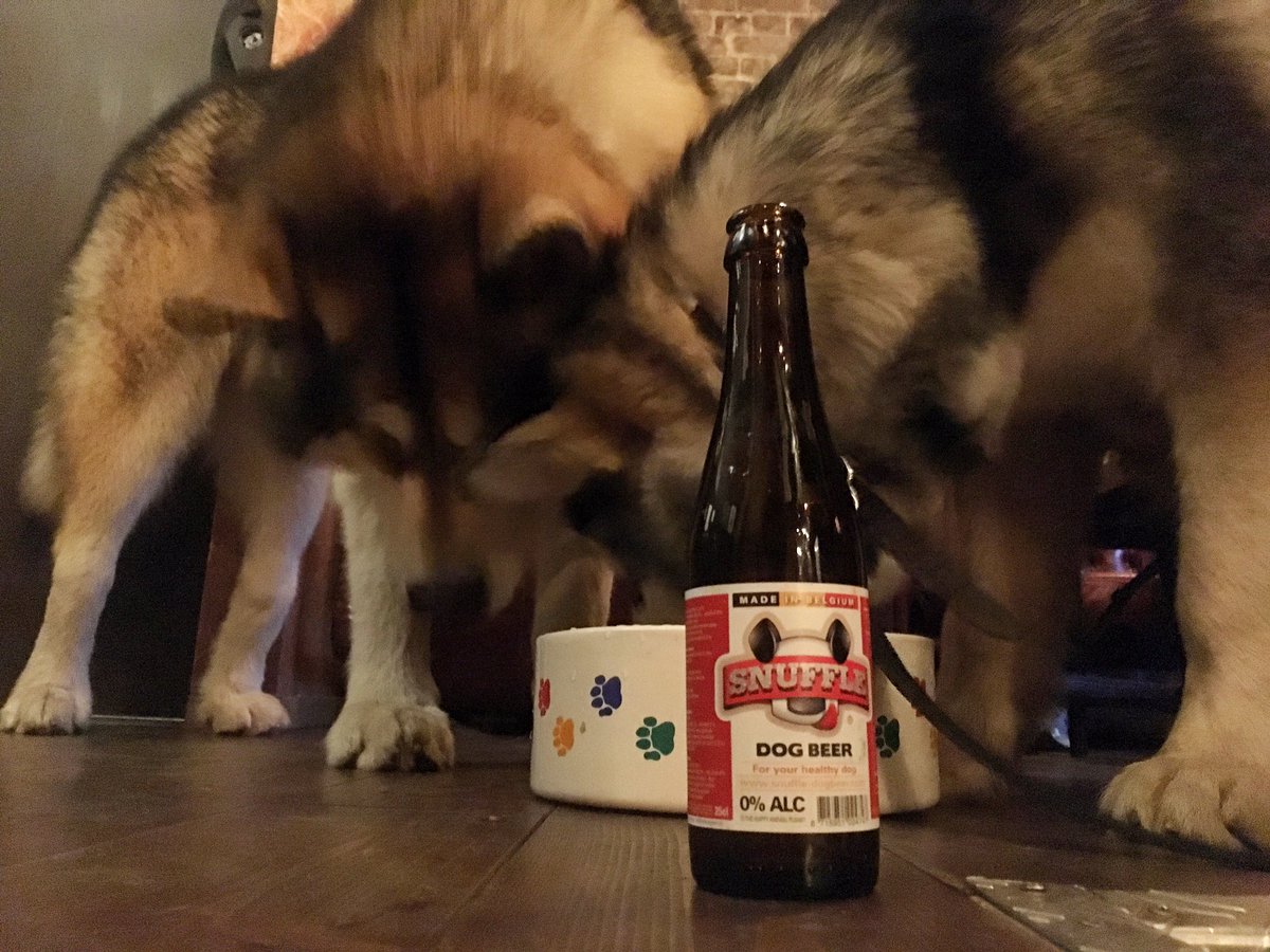 brewdogsoder's tweet image. These two guys are loving some @SnuffleDogBeer today. #dugsinpubs #