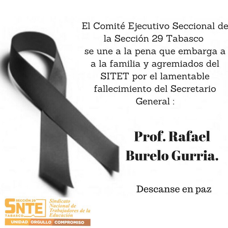 Alcudia_SNTE29 tweet picture