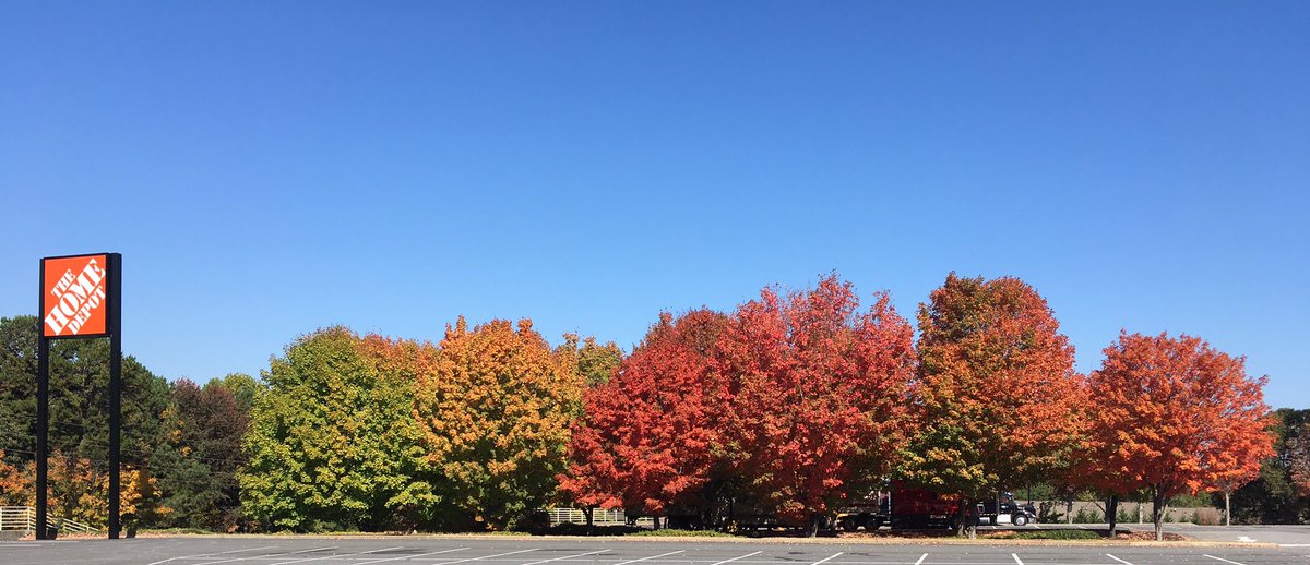 Fall at the Home Depot!