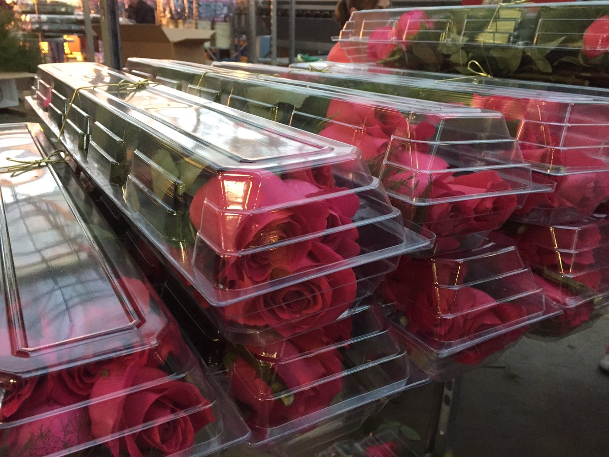It is roses delivery day in #yyj!  Did you get a dozen?