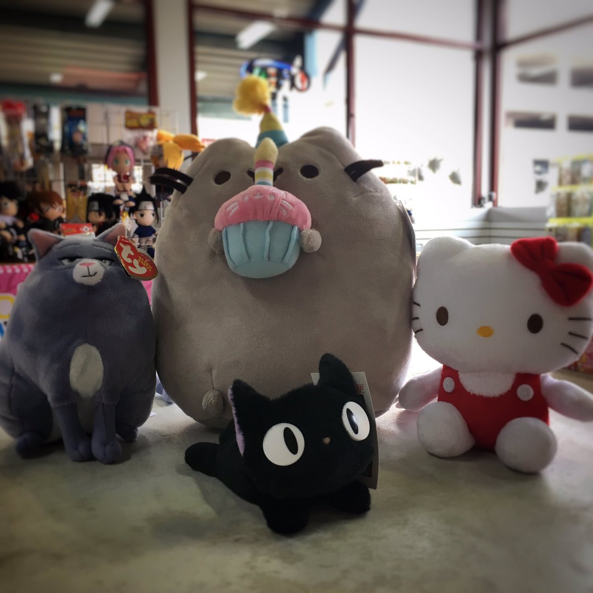 YokiStore's tweet photo. Have a Purr-fect weekend! 🐱 #NationalCatDay https://t.co/NH7qPUGZlz