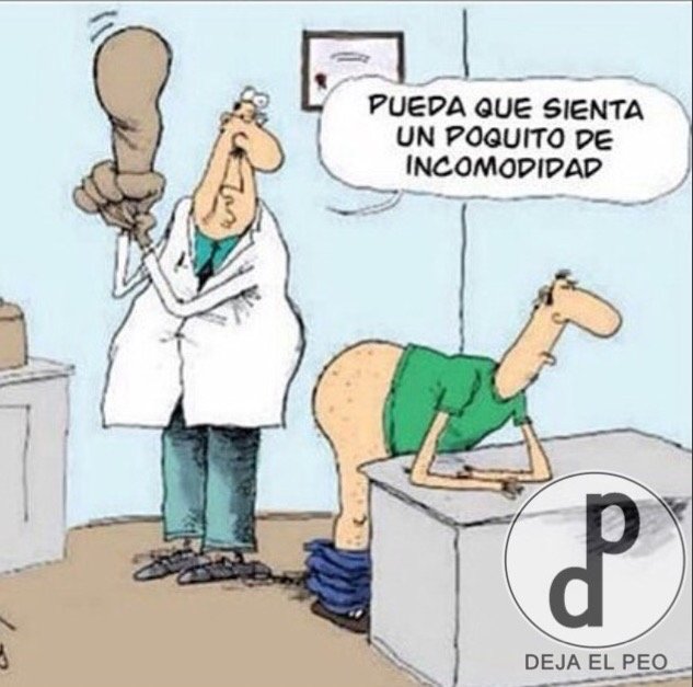 prostata imagenes