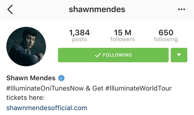 Shawn mendes instagram followers