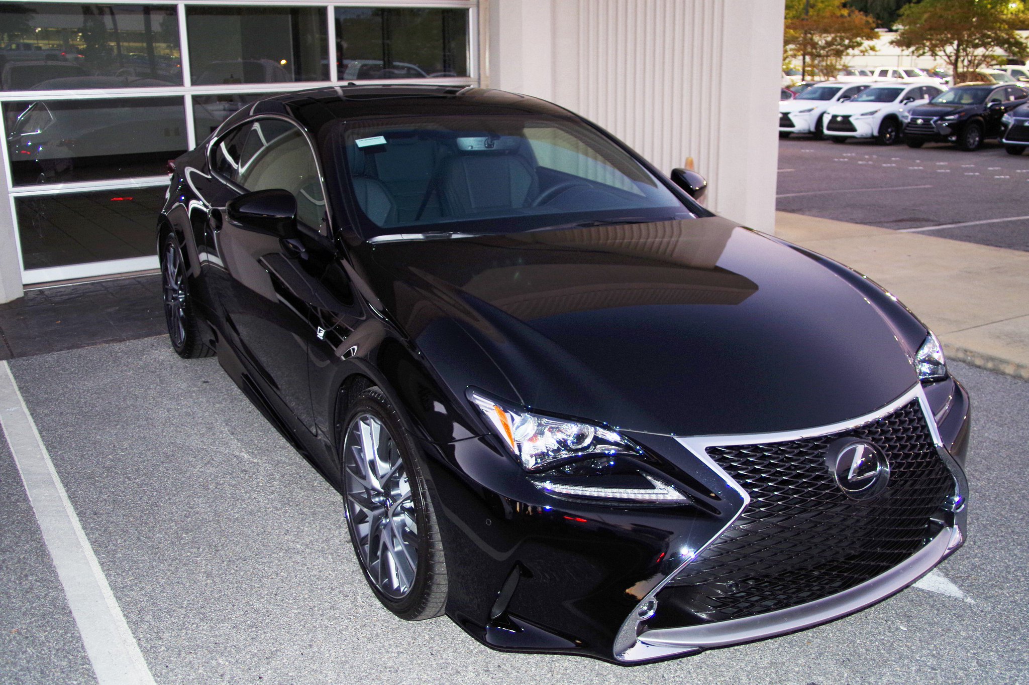 Color 223 lexus