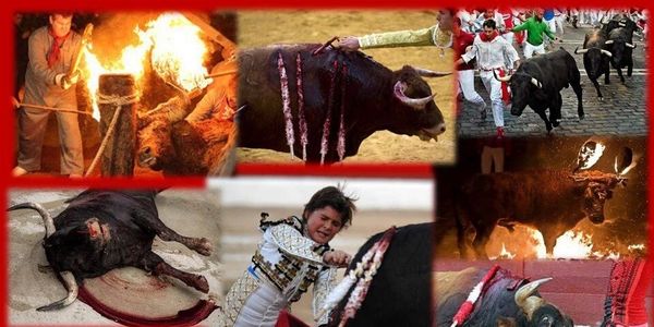 .@EU_Commission Pls Retweet #Spain #culture of #cruelty #bullfighting #FIESTA Supported by #CommonAgriculturalPolicy telegraph.co.uk/news/worldnews…