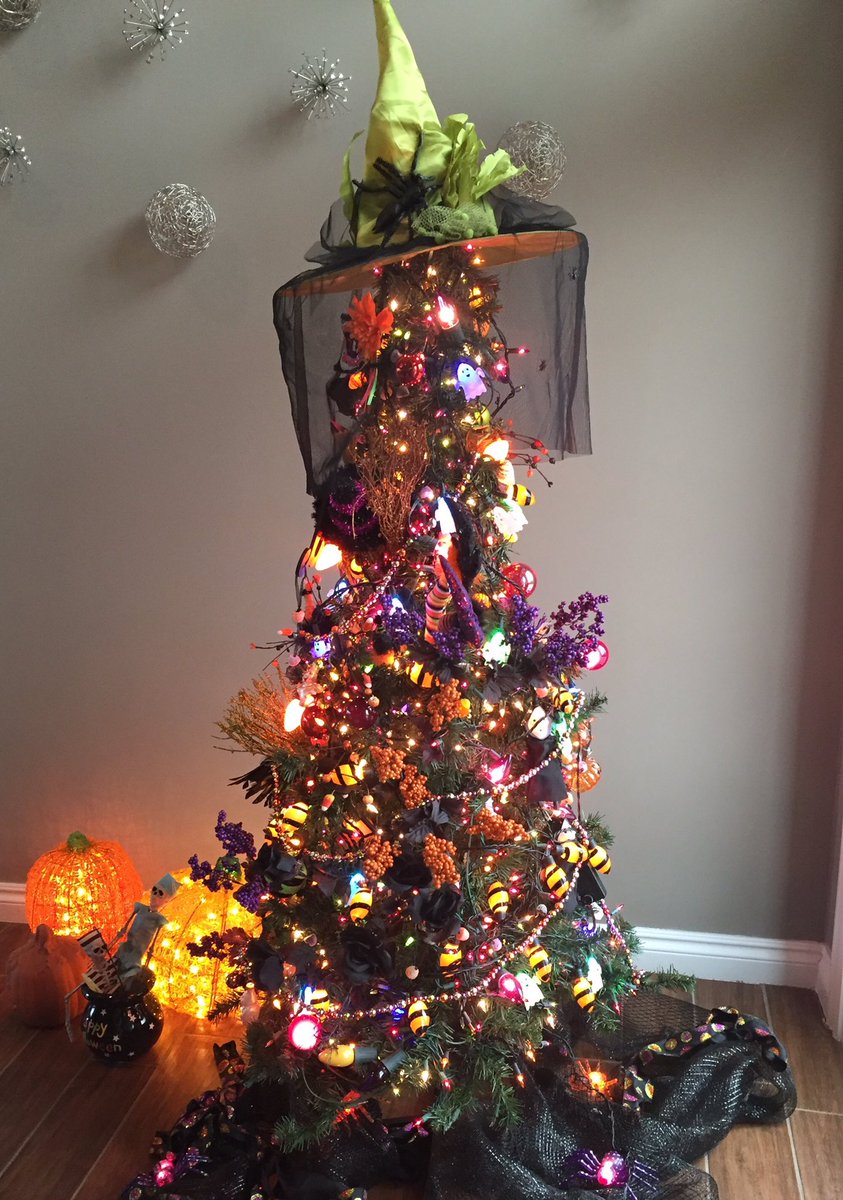 HeronSpring's tweet photo. Witchy trees are how we roll! #HeronSprings https://t.co/fU8szZtrwO