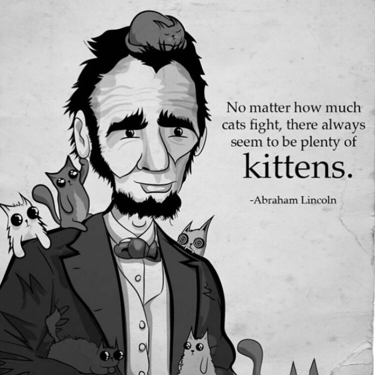 gameofkittens's tweet photo. #HappyNationalCatDay https://t.co/1eGaKAkFbH