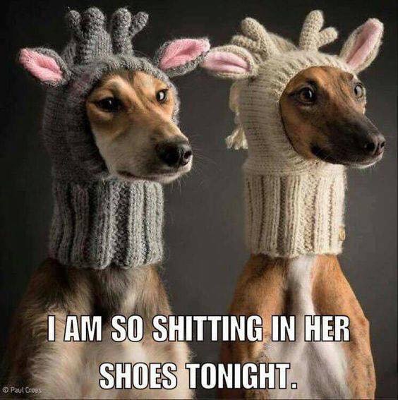 Tim Payne tweet media