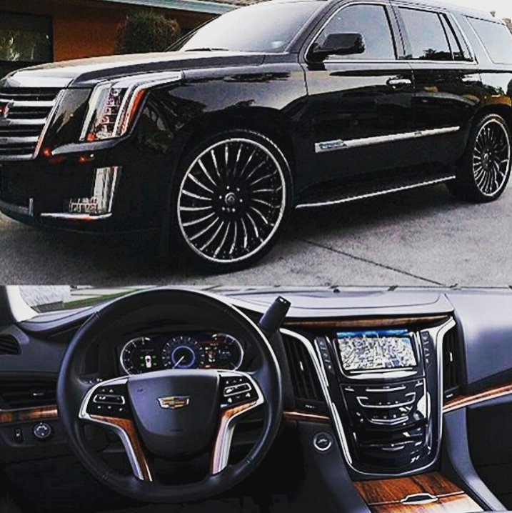 LimoServiceVA's tweet photo. #xatriclimo #blacklimo #citytour celebrate #NationalCatDay
#Corporate #onewaytransfer #BookNow202-630-8802
https://t.co/hYPEcOqeHi https://t.co/7Yb0US2FcQ