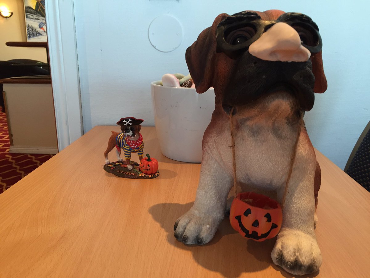 BoxerKiro's tweet image. One of my new Halloween buddies🐶😊 @rescueaboxer @DogTreatNews @dogssories @PuppyClover @Seattle_boxer @prettypinkacres #boxerdog #boxernytt