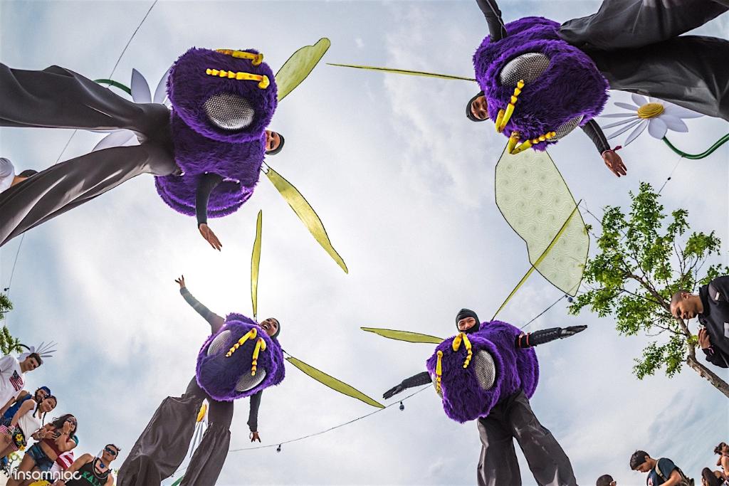 What's the buzz? 🐝 🐝 #EDCNY
