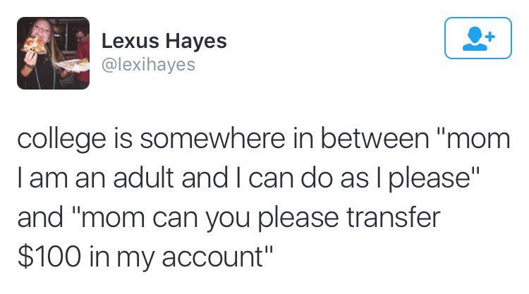 byreIatable's tweet image. Accurate