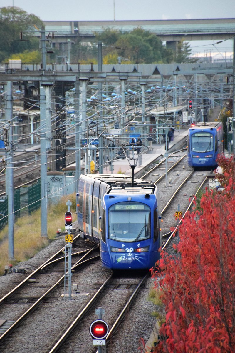 patphobos's tweet photo. le #ChatTram #TramT4 en balade le long des feuilles d'automne #Bondy #TT06 https://t.co/BXjFMaVets