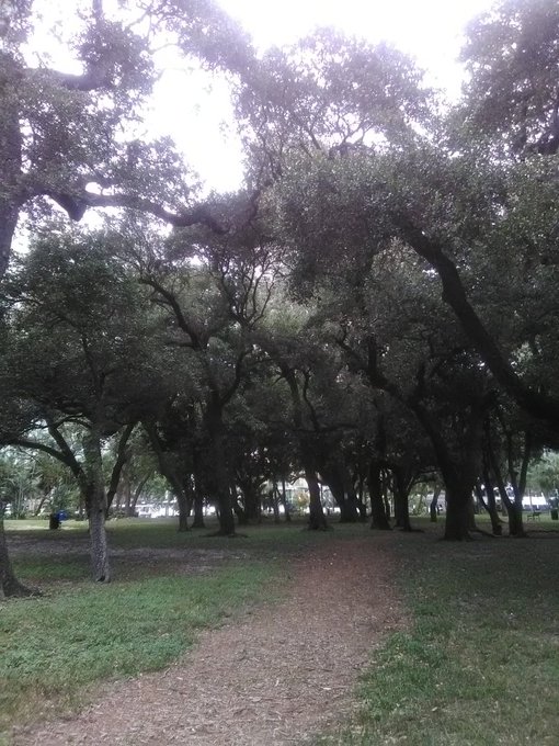 Best jogging trail ever!! https://t.co/Kgkz4spxDx<a href="/tag/blond"class="tags"><span>#blond</span></a><a href="/tag/hot"class="tags"><span>#hot</span></a><a href="/tag/sexybitch"class="tags"><span>#sexybitch</span></a><a href="/tag/naughy"class="tags"><span>#naughy</span></a>