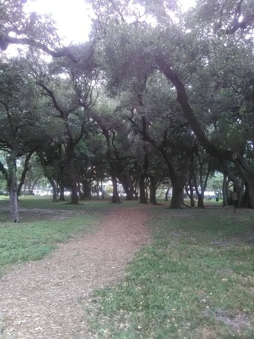 Best jogging trail ever!! https://t.co/Kgkz4spxDx<a href="/tag/tbt"class="tags"><span>#tbt</span></a>