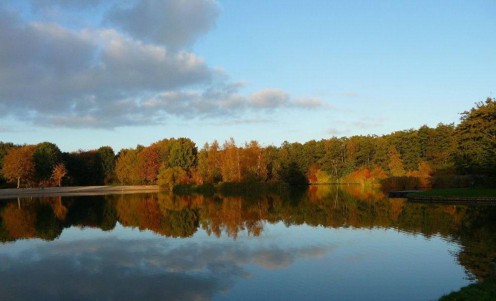 Nog een plaatje van het Streekbos (uitzicht vanaf terras <a href="/IJgenweisStreek/">IJgenweisStreekbos</a>, <a href="/IVNstreekbos/">IVN West-Friesland</a> en <a href="/Orion_Streekbos/">Orion Streekbos</a>). Lijkt Canada wel!!