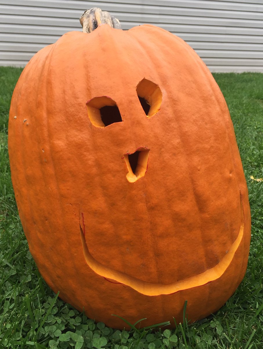 djheather's tweet photo. #PrePartyPrep #DJMommy Garden maintenance, #Theraflu guzzling, child wrangling and pumpkin carving. #BringingHisIdeasTolife https://t.co/nHJSPchtaW
