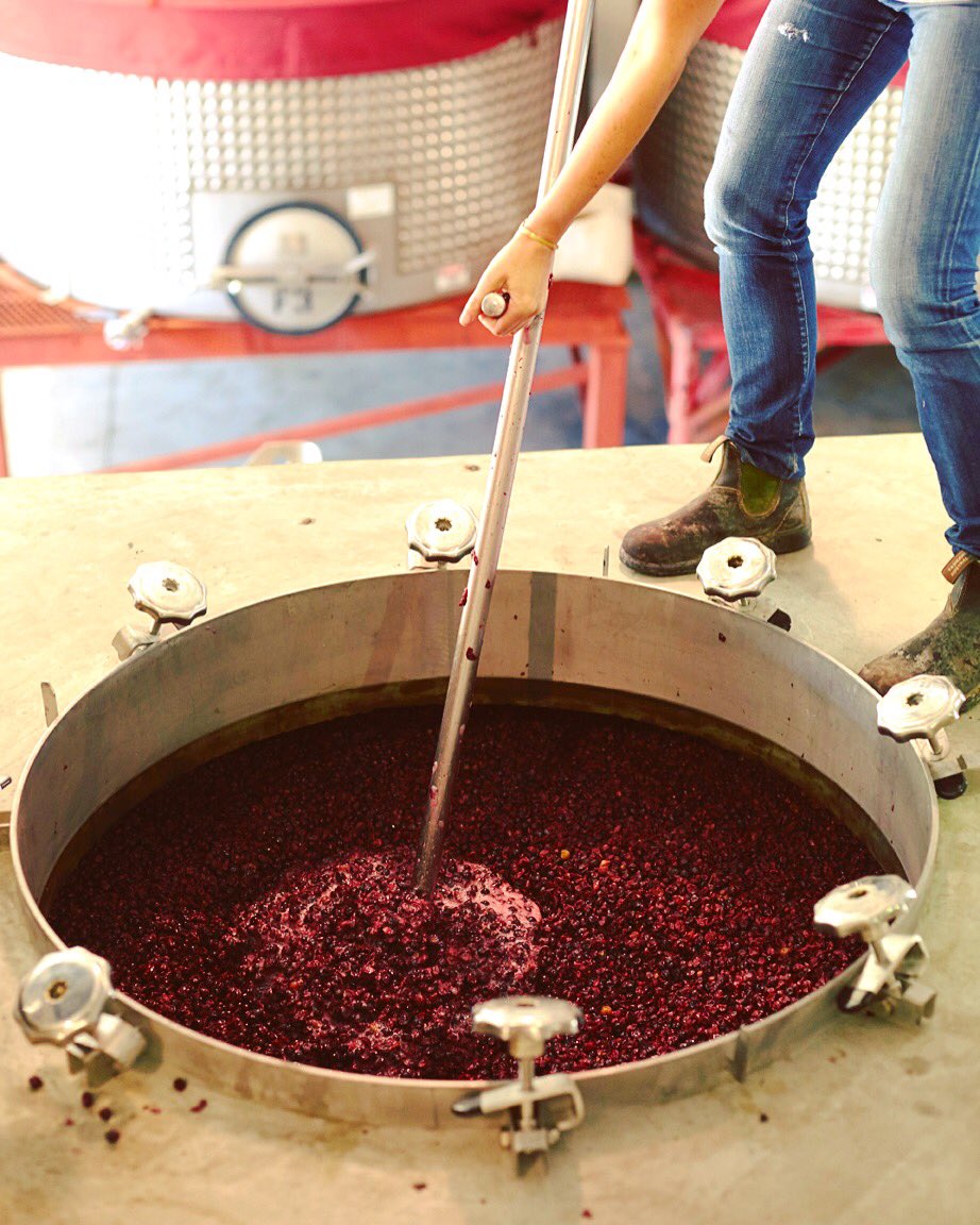 Punch down on fermenting Grenache in a concrete tank. #punchdown #grenache #concretetank #fermentation #adelaida