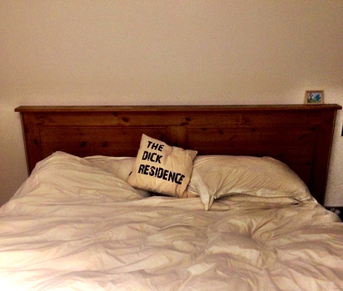 FishheadsClub's tweet image. Pillow Xmas gift that found a rightful home. At night it's between my knees keeping my back straight. Fnaar Fnaar