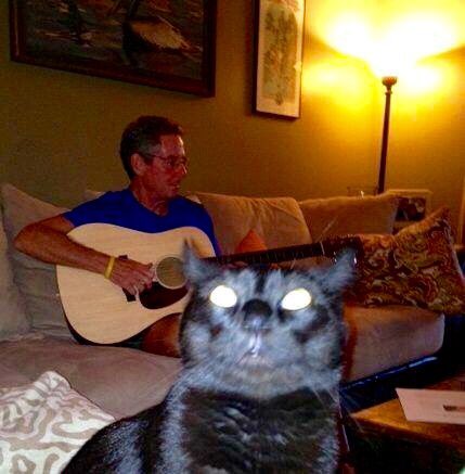 Happy #NationalCatDay from Bob.