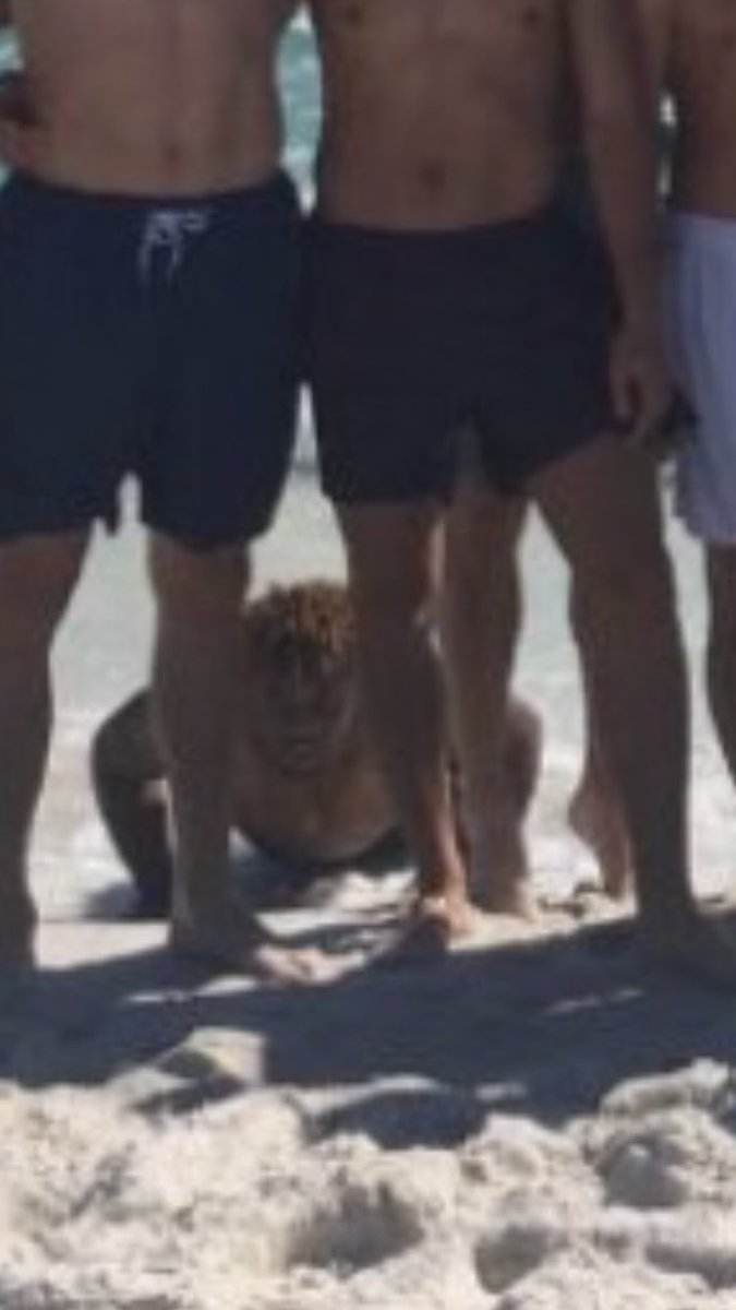 A_Klap10's tweet photo. All we wanted was a nice picture on the beach... #SaturdaysAreForTheBoys https://t.co/pc9Iw5BCer