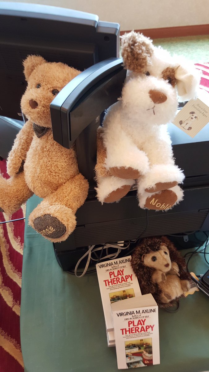 BNSeattle's tweet photo. Barnsie, Noble and Hedgehog are here to help support the #NADTA2016 @Drama_Therapy conference. Come say hi! https://t.co/YNYg5JdN0G