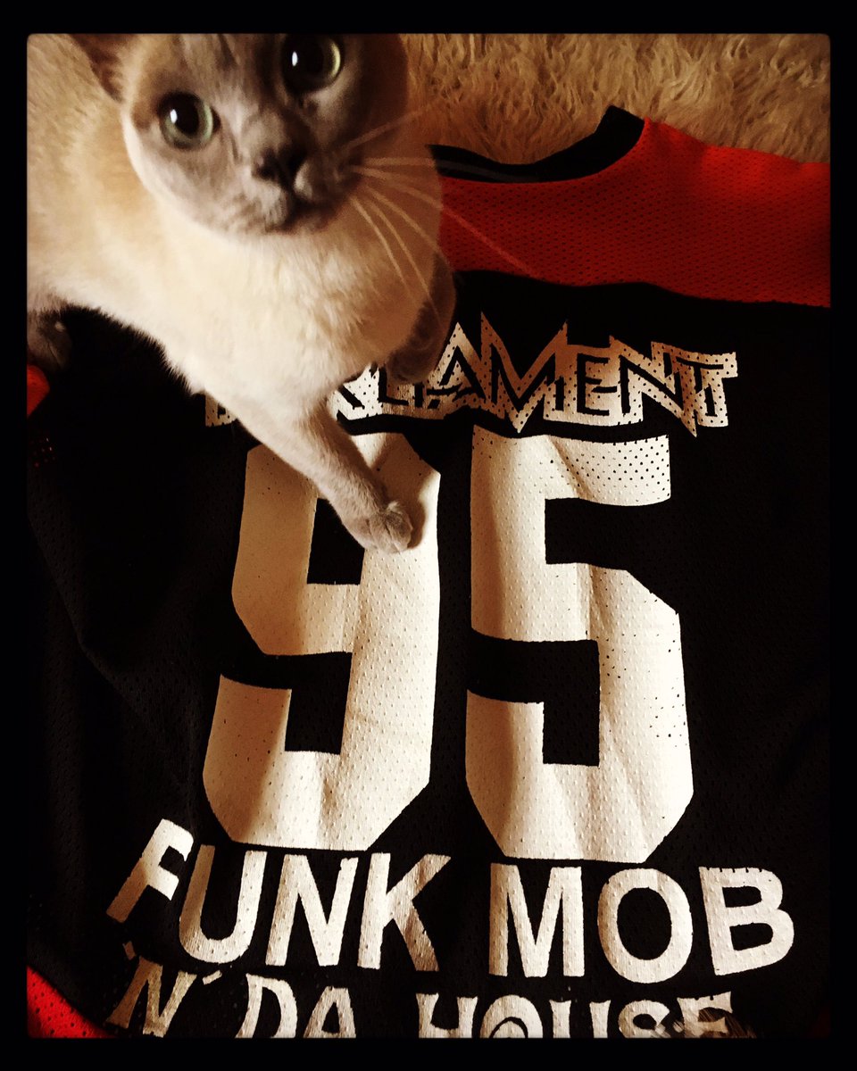 detroitsound's tweet photo. ... and #NationalCatDay from #SisuDetroit #FunkMob #Parliament @george_clinton https://t.co/9cpYlIt0vU