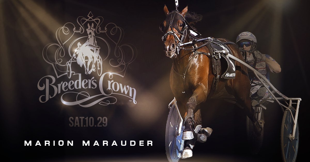 Meadowlands Racing (@themeadowlands) on Twitter photo Breeders Crown Night 2 begins at 6:35pm! Watch all of the races on playmeadowlands.com & our special live SNY broadcast from 9-10pm Breeders Crown Night 2 begins at 6:35pm! Watch all of the races on playmeadowlands.com & our special live SNY broadcast from 9-10pm